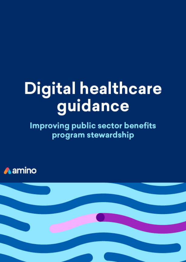 6250c6f16a5580c49e239ee4_eBook - Digital healthcare guidance_ Improving public sector benefits program stewardship - THMB