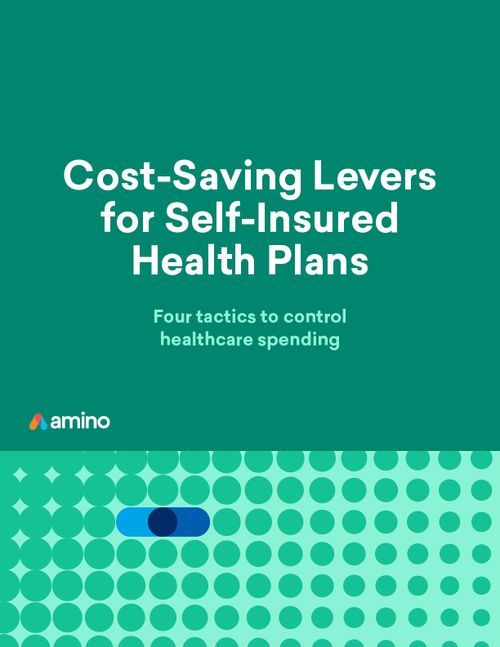 6261f1c6e6049c4cf8fc1bb8_Amino - Cost-Saving Levers for Self-Insured Health Plans - eBook_THMB-p-500